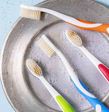 four of the toothbrushes in assorted colors