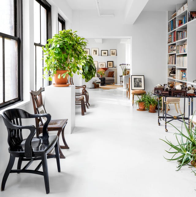 long white room with built in bookcases on the right and a white pedestal with a large green plant on it an several different types of chaors and a view into a living area with shelves holding frames