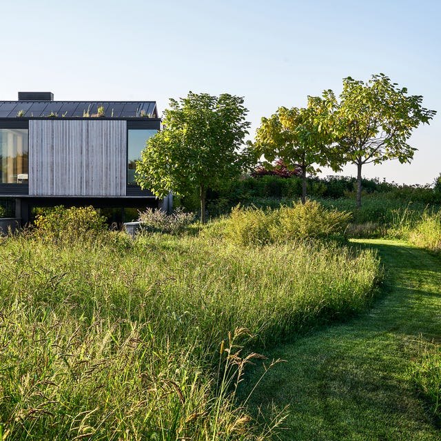 hollander design