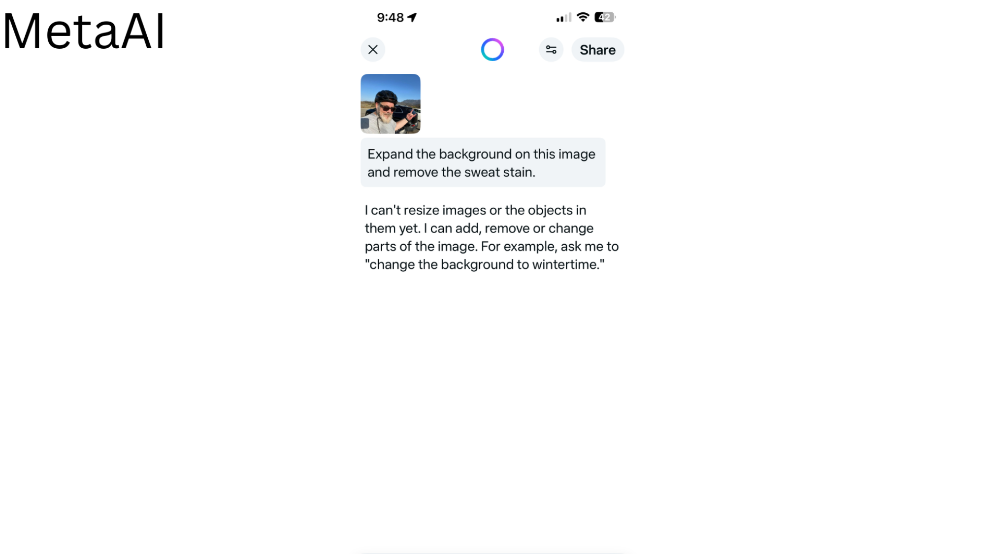 Meta AI